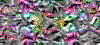 TXTR3835.GIF