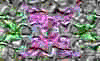 TXTR3824.GIF