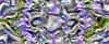 TXTR3803.GIF