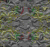 TXTR3691.GIF