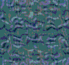TXTR3640.GIF