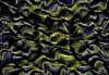 TXTR3637.GIF