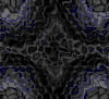 TXTR3534.GIF