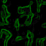 TXTR3501.GIF