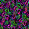 TXTR3492.GIF