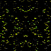 TXTR3479.GIF