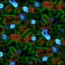 TXTR3454.GIF