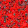 TXTR3450.GIF