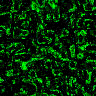 TXTR3411.GIF