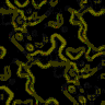 TXTR3018.GIF