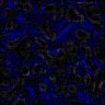 TXTR2991.GIF