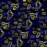 TXTR2980.GIF