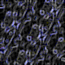 TXTR2975.GIF