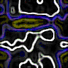 TXTR2943.GIF