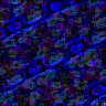 TXTR2937.GIF