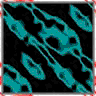TXTR2921.GIF