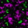 TXTR2807.GIF