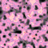 TXTR2784.GIF