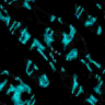 TXTR2780.GIF