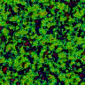 TXTR2775.GIF