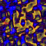 TXTR2754.GIF