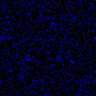 TXTR2730.GIF