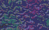TXTR2682.GIF