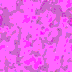 TXTR2663.GIF