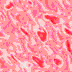 TXTR2660.GIF