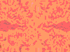 TXTR2227.GIF