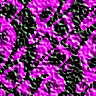 TXTR2189.GIF