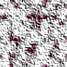 TXTR2179.GIF