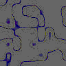 TXTR2124.GIF