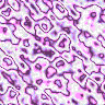 TXTR1780.GIF