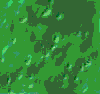 TXTR1507.GIF