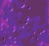 TXTR1505.GIF