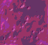 TXTR1408.GIF