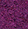 TXTR1354.GIF