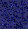 TXTR1353.GIF