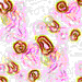 TXTR1249.GIF