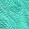 TXTR0958.GIF