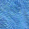 TXTR0957.GIF