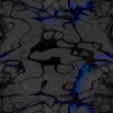 TXTR0408.GIF