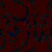 TXTR0374.GIF