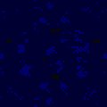 TXTR0307.GIF