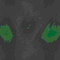 TXTR0209.GIF