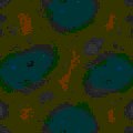 TXTR0206.GIF