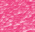 TXBCK83.GIF