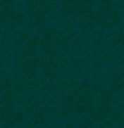 TX2.GIF