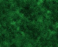 NBCK14.GIF